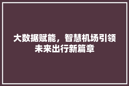 大数据赋能，智慧机场引领未来出行新篇章