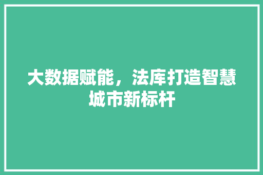 大数据赋能，法库打造智慧城市新标杆