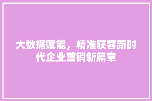大数据赋能，精准获客新时代企业营销新篇章