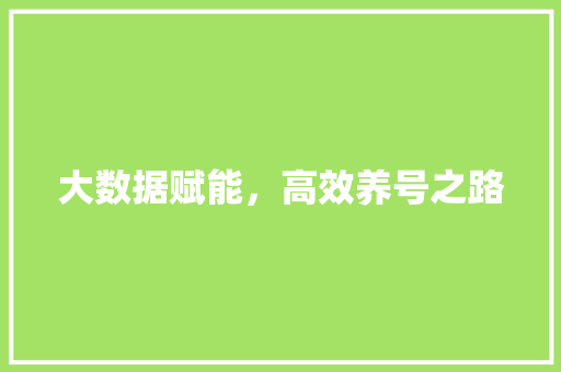 大数据赋能，高效养号之路
