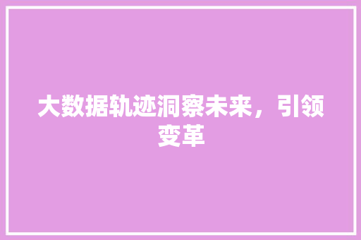 大数据轨迹洞察未来，引领变革
