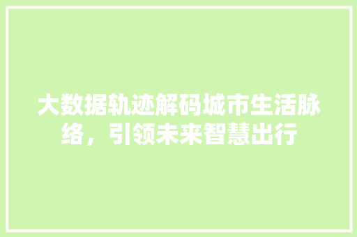 大数据轨迹解码城市生活脉络，引领未来智慧出行
