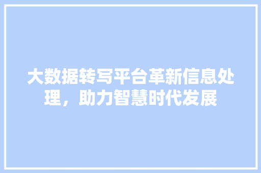 大数据转写平台革新信息处理，助力智慧时代发展