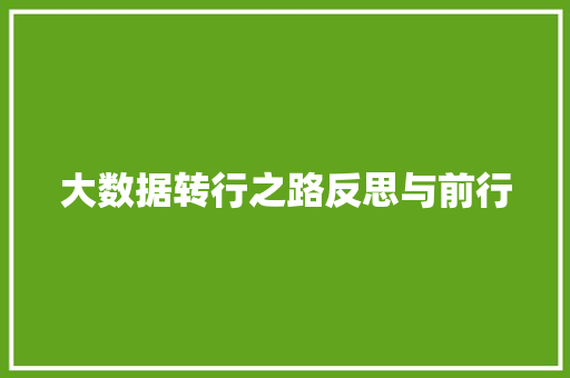 大数据转行之路反思与前行