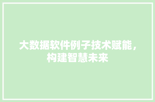大数据软件例子技术赋能，构建智慧未来