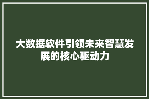 大数据软件引领未来智慧发展的核心驱动力