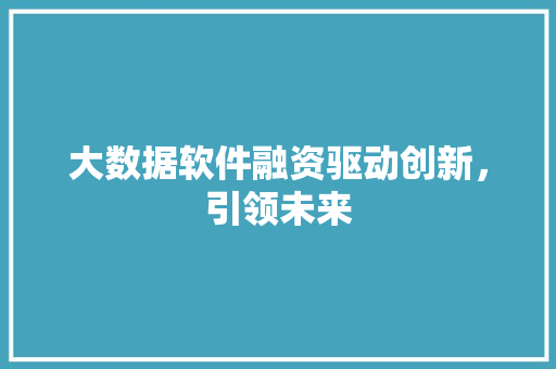 大数据软件融资驱动创新，引领未来