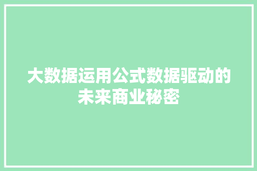 大数据运用公式数据驱动的未来商业秘密