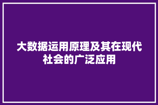 大数据运用原理及其在现代社会的广泛应用