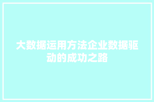大数据运用方法企业数据驱动的成功之路
