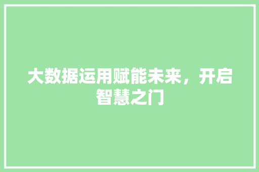 大数据运用赋能未来，开启智慧之门