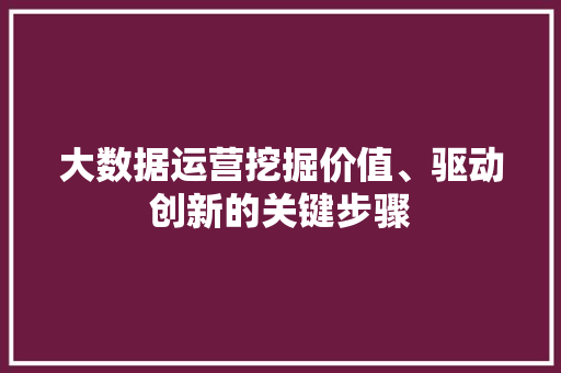大数据运营挖掘价值、驱动创新的关键步骤