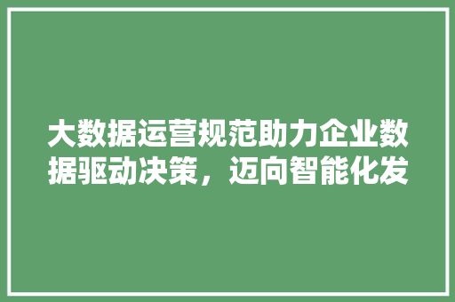 大数据运营规范助力企业数据驱动决策，迈向智能化发展