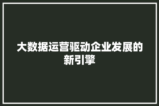 大数据运营驱动企业发展的新引擎