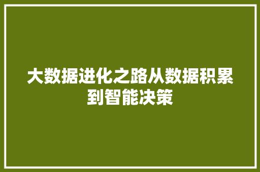 大数据进化之路从数据积累到智能决策