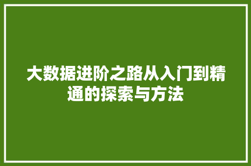 大数据进阶之路从入门到精通的探索与方法