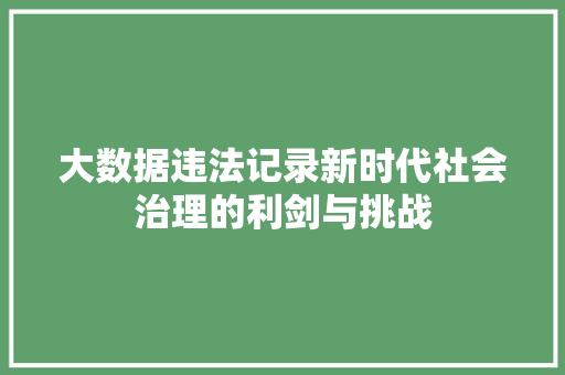 大数据违法记录新时代社会治理的利剑与挑战