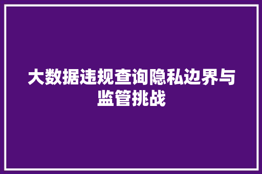 大数据违规查询隐私边界与监管挑战