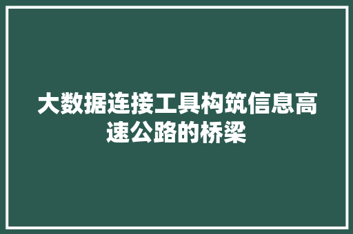 大数据连接工具构筑信息高速公路的桥梁