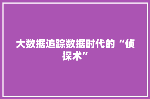 大数据追踪数据时代的“侦探术”