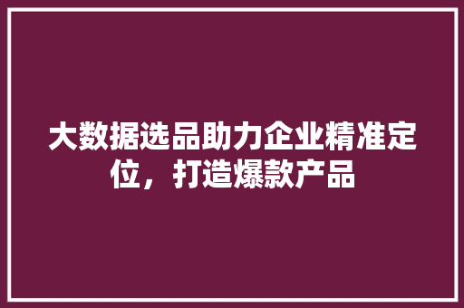 大数据选品助力企业精准定位，打造爆款产品
