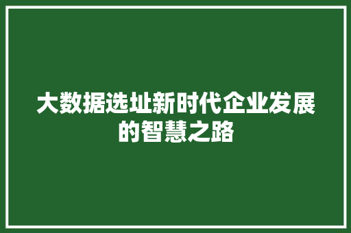 大数据选址新时代企业发展的智慧之路