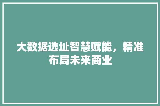 大数据选址智慧赋能，精准布局未来商业