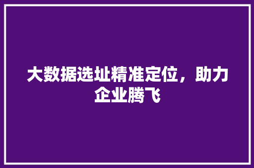 大数据选址精准定位，助力企业腾飞