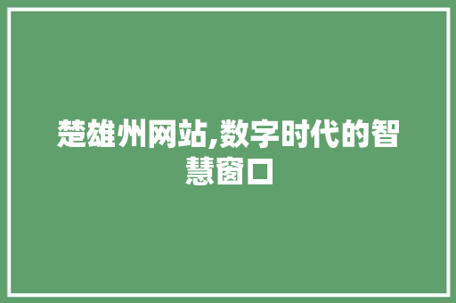 楚雄州网站,数字时代的智慧窗口