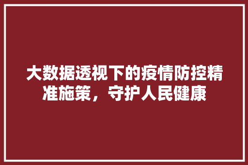大数据透视下的疫情防控精准施策，守护人民健康