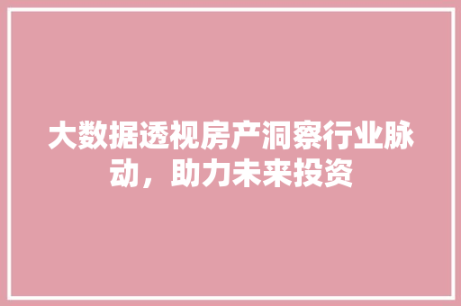 大数据透视房产洞察行业脉动，助力未来投资