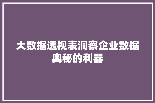 大数据透视表洞察企业数据奥秘的利器