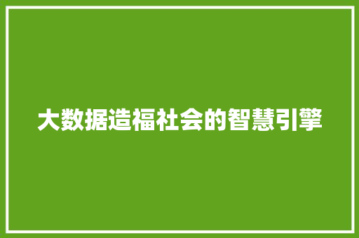 大数据造福社会的智慧引擎