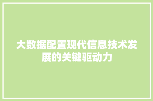 大数据配置现代信息技术发展的关键驱动力