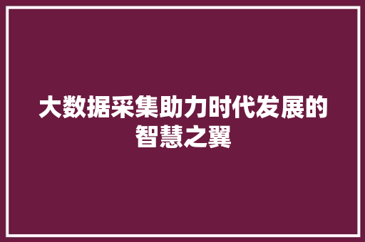 大数据采集助力时代发展的智慧之翼