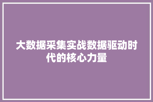大数据采集实战数据驱动时代的核心力量