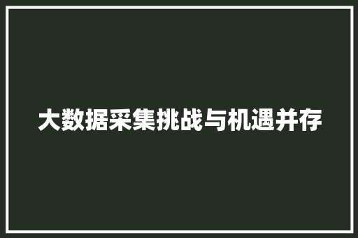 大数据采集挑战与机遇并存