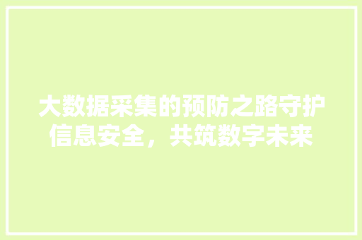大数据采集的预防之路守护信息安全，共筑数字未来