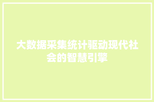大数据采集统计驱动现代社会的智慧引擎