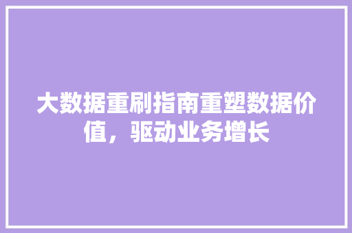 大数据重刷指南重塑数据价值，驱动业务增长