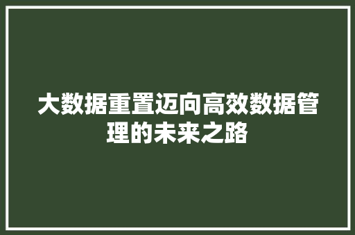 大数据重置迈向高效数据管理的未来之路