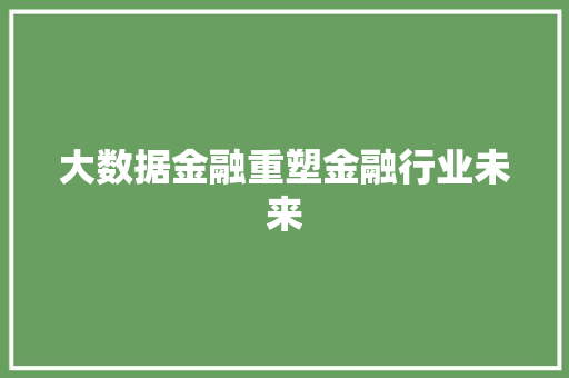 大数据金融重塑金融行业未来