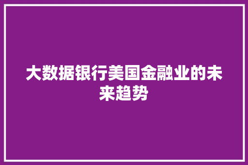 大数据银行美国金融业的未来趋势