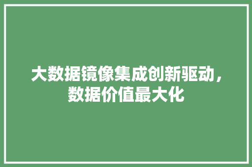 大数据镜像集成创新驱动，数据价值最大化