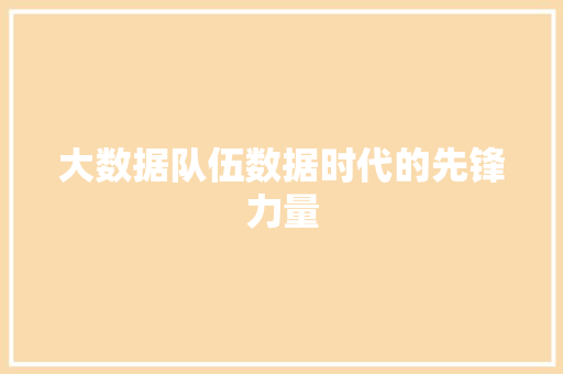 大数据队伍数据时代的先锋力量