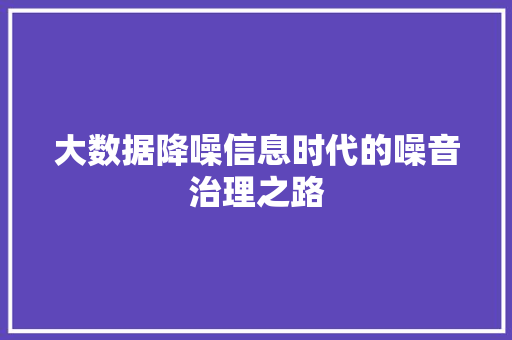 大数据降噪信息时代的噪音治理之路