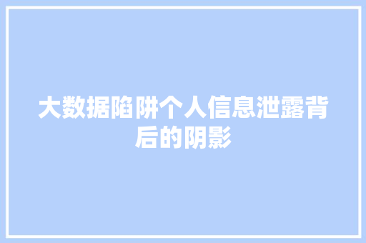 大数据陷阱个人信息泄露背后的阴影