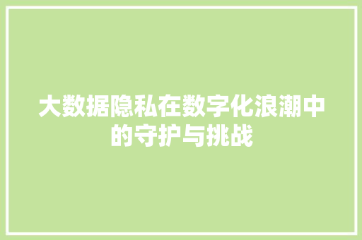 大数据隐私在数字化浪潮中的守护与挑战