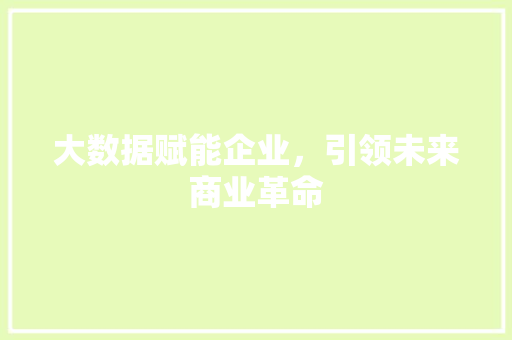 大数据赋能企业，引领未来商业革命