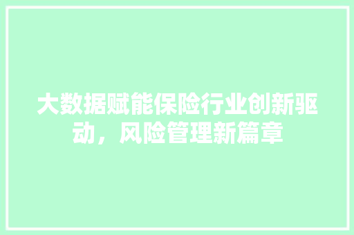 大数据赋能保险行业创新驱动，风险管理新篇章